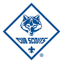 Cub Scouts